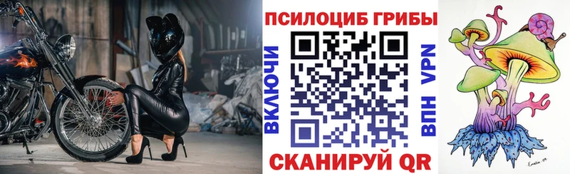 Псилоцибиновые грибы ЛСД  KRAKEN   Афипский 